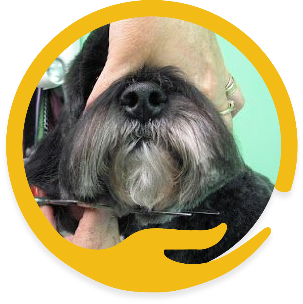 Face clip and sock cut the tail waggers